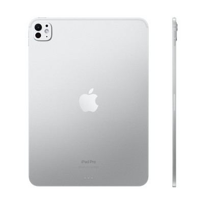 Планшет Apple iPad Pro 11 2024 M4, 512 ГБ, Wi-Fi, стандартное стекло, Серебристый (Silver) - фото 19685