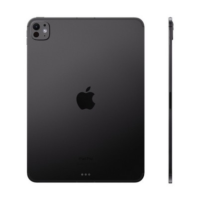 Планшет Apple iPad Pro 11 2024 M4, 512 ГБ, Wi-Fi, стандартное стекло, Черный космос (Space Black) - фото 19687