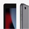 Планшет Apple iPad 10.2 2021, 64 ГБ, Wi-Fi, iPadOS, серый космос - фото 16866