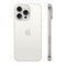 Смартфон Apple iPhone 15 Pro Max 256 Гб Титановый белый (White Titanium) A2849 Dual еSIM - фото 18202