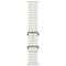 Умные часы Apple Watch Ultra 2 49 мм Titanium Case GPS + Cellular, White Ocean Band (Белый) - фото 18435
