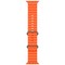 Умные часы Apple Watch Ultra 2 49 мм Titanium Case GPS + Cellular, Orange Ocean Band (Оранжевый) - фото 18443