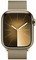 Умные часы Apple Watch Series 9 45 мм Steel Case GPS + Cellular, Gold Milanese Loop - фото 18786