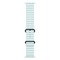 Умные часы Apple Watch Ultra 2 49 мм (2024) Natural Titanium Case, Ice Blue Ocean Band (ледяной синий) - фото 19481