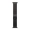 Умные часы Apple Watch Ultra 2 49 мм (2024) Black Titanium Case with Black titanium Milanese loop (миланский черный) Medium - фото 19490