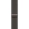 Умные часы Apple Watch Series 10 46 мм Slate Titanium Case with Slate Milanese Loop - фото 19698