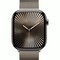 Умные часы Apple Watch Series 10 46 мм Natural Titanium Case with Natural Milanese Loop - фото 19700